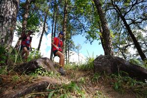 BIB: 7722
                            <button type="button" onclick="openModal(18888241)" class="btn btn-primary btn-sm float-right btn-popup" data-toggle="modal" data-target=".modal-high-quality">
                        <i class="fas fa-shopping-cart"></i> Add to Cart
                    </button>
                                            <button type="button" onclick="isThisMe(18888241, true)" class="btn btn-success btn-sm float-right btn-popup btn-isme hidden" data-toggle="tooltip" data-placement="bottom" title="นี่คือรูปของคุณใช่ไหม คลิกที่นี่เพื่อเอาเข้าอัลบั้ม">
                        <i class="fas fa-plus"></i> Add to album
                    </button>
                    <button type="button" onclick="isThisMe(18888241, false)" class="btn btn-warning btn-sm float-right btn-popup btn-isnotme hidden">
                        <i class="fas fa-ban"></i> Remove from album
                    </button>